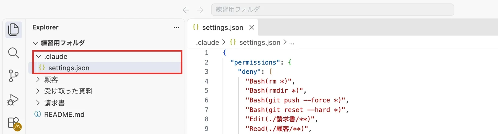 settings.jsonに全文を貼った画面